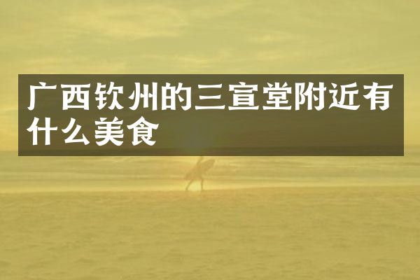 广西钦州的三宣堂附近有什么美食