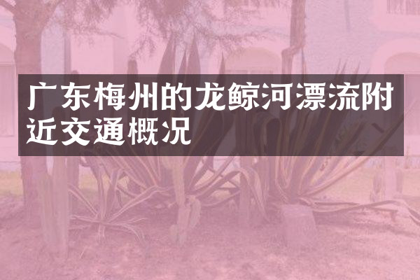 广东梅州的龙鲸河漂流附近交通概况