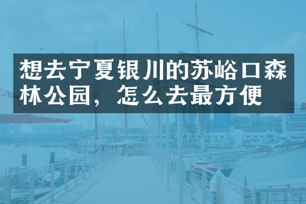 想去宁夏银川的苏峪口森林公园，怎么去最方便