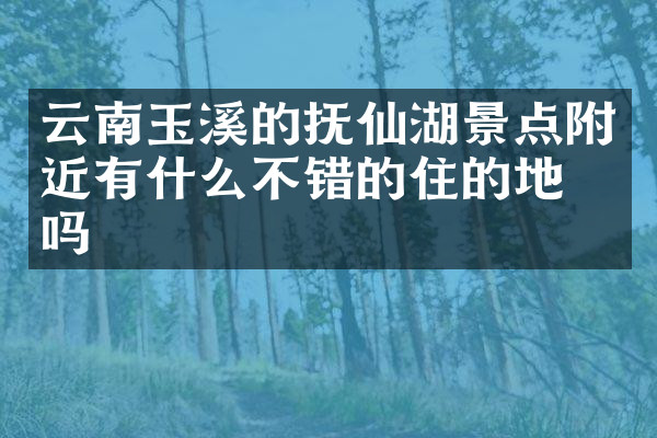 云南玉溪的抚仙湖景点附近有什么不错的住的地方吗