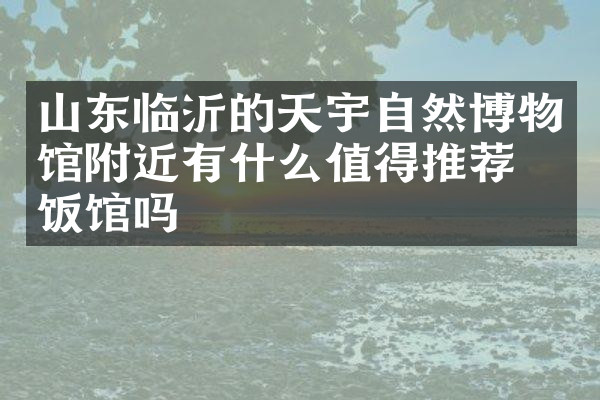 山东临沂的天宇自然博物馆附近有什么值得推荐的饭馆吗