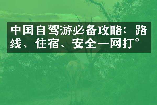 中国自驾游必备攻略：路线、住宿、安全一网打尽