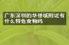 广东深圳的华侨城附近有什么特色食物吗