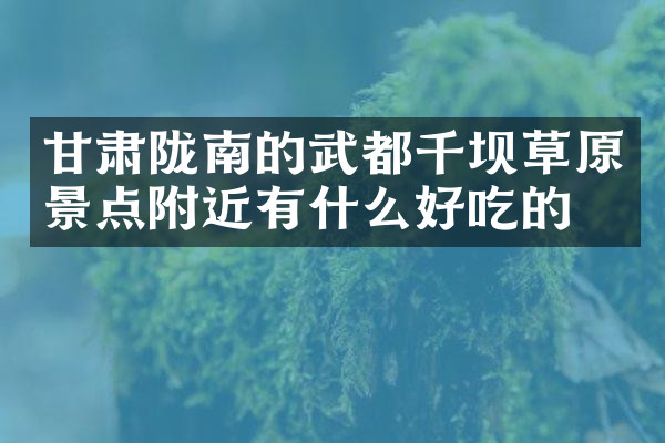 甘肃陇南的武都千坝草原景点附近有什么好吃的