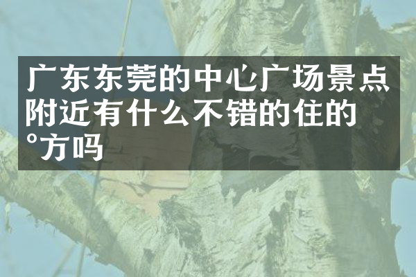 广东东莞的中心广场景点附近有什么不错的住的地方吗