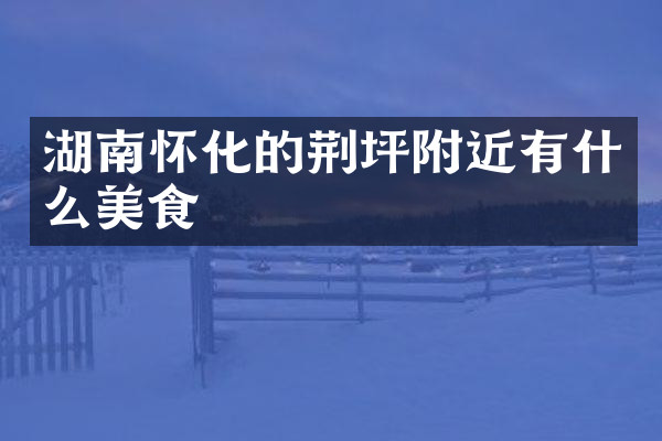 湖南怀化的荆坪附近有什么美食