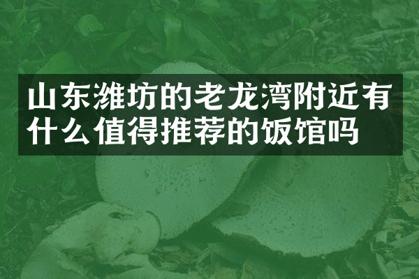 山东潍坊的老龙湾附近有什么值得推荐的饭馆吗