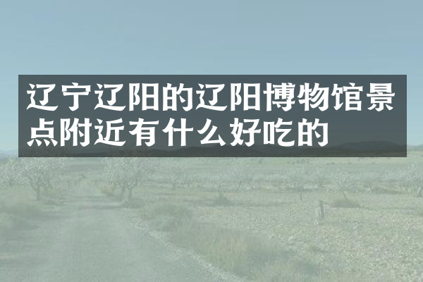 辽宁辽阳的辽阳博物馆景点附近有什么好吃的
