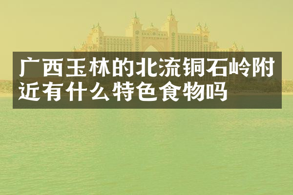 广西玉林的北流铜石岭附近有什么特色食物吗