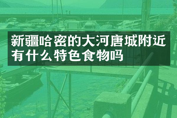 新疆哈密的大河唐城附近有什么特色食物吗