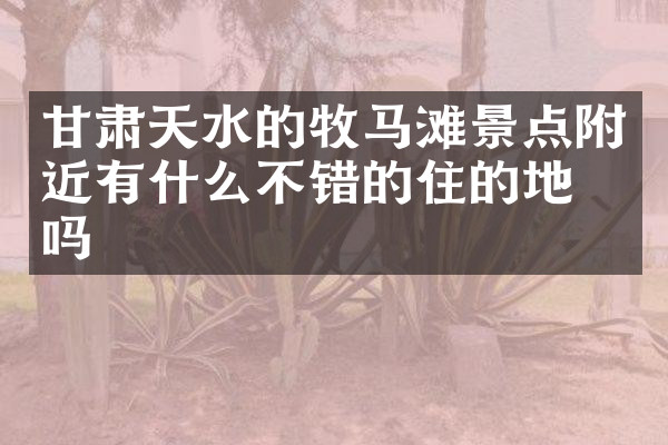 甘肃天水的牧马滩景点附近有什么不错的住的地方吗