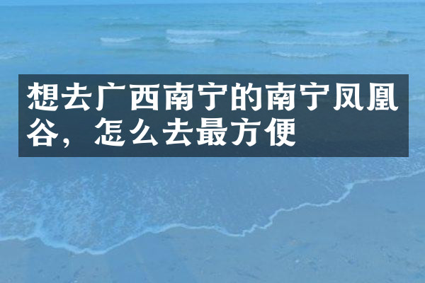 想去广西南宁的南宁凤凰谷，怎么去最方便