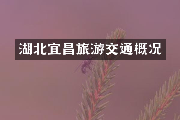 湖北宜昌旅游交通概况