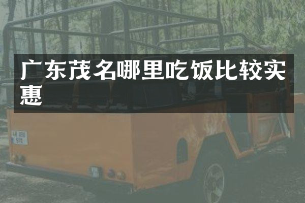 广东茂名哪里吃饭比较实惠