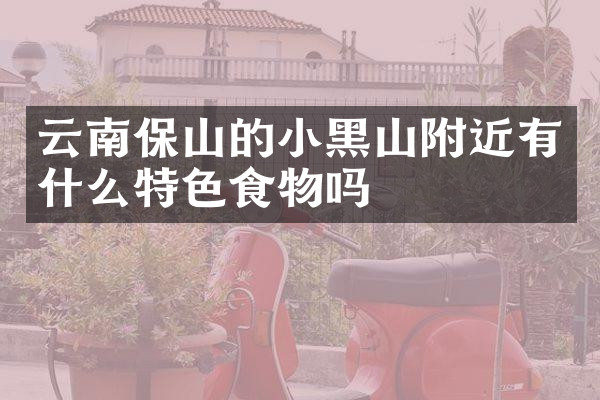 云南保山的小黑山附近有什么特色食物吗