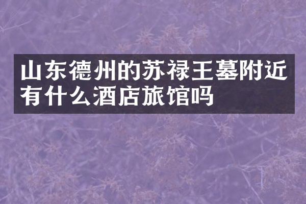 山东德州的苏禄王墓附近有什么酒店旅馆吗
