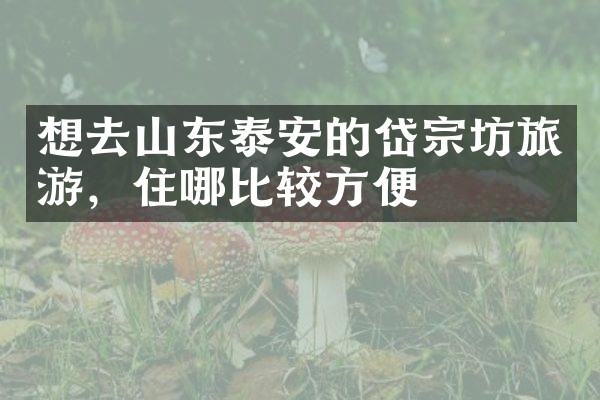 想去山东泰安的岱宗坊旅游，住哪比较方便