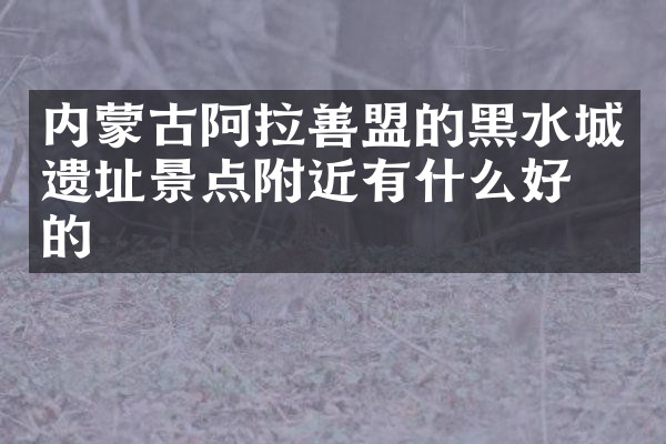 内蒙古阿拉善盟的黑水城遗址景点附近有什么好吃的