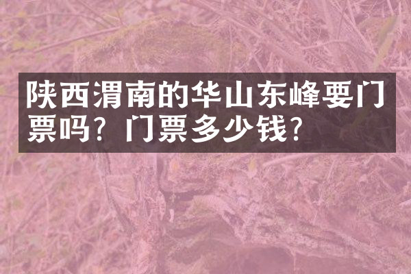 陕西渭南的华山东峰要门票吗？门票多少钱？