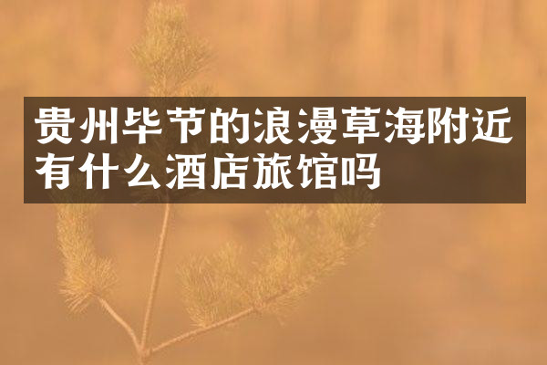 贵州毕节的浪漫草海附近有什么酒店旅馆吗