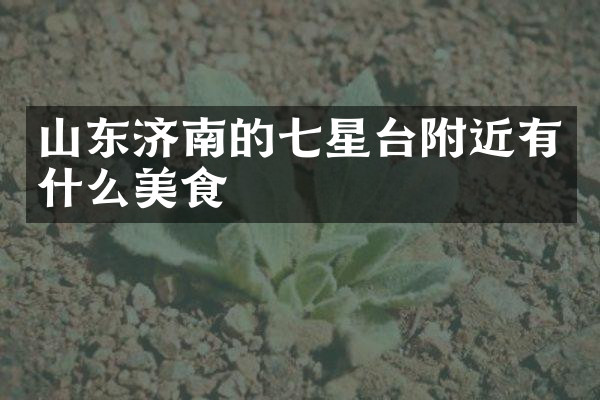 山东济南的七星台附近有什么美食