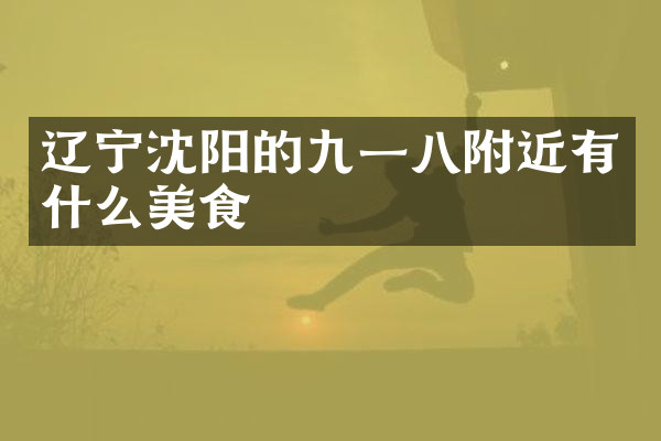 辽宁沈阳的九一八附近有什么美食