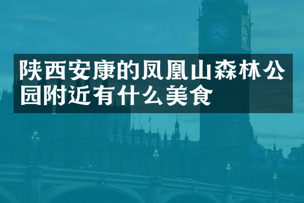 陕西安康的凤凰山森林公园附近有什么美食