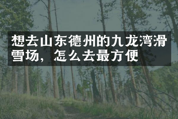 想去山东德州的九龙湾滑雪场，怎么去最方便