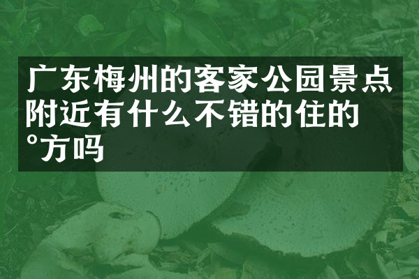 广东梅州的客家公园景点附近有什么不错的住的地方吗