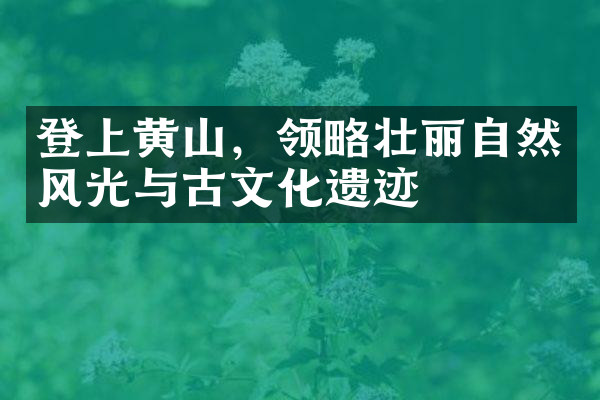 登上黄山，领略壮丽自然风光与古文化遗迹