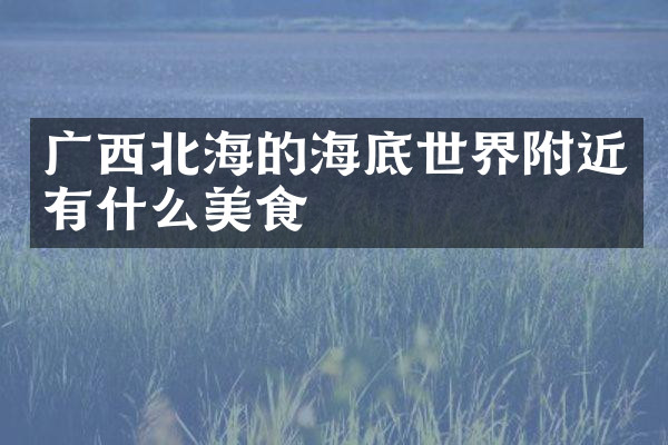 广西北海的海底世界附近有什么美食