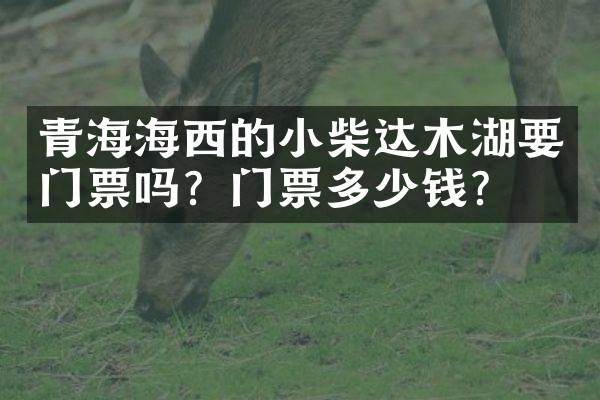 青海海西的小柴达木湖要门票吗？门票多少钱？