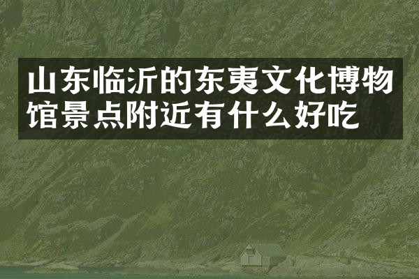 山东临沂的东夷文化博物馆景点附近有什么好吃的