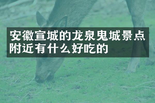安徽宣城的龙泉鬼城景点附近有什么好吃的