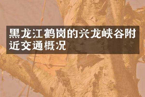 黑龙江鹤岗的兴龙峡谷附近交通概况