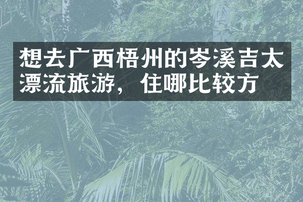 想去广西梧州的岑溪吉太漂流旅游，住哪比较方便