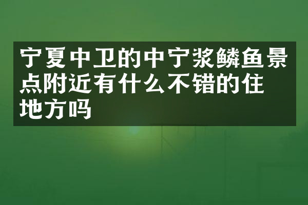 宁夏中卫的中宁浆鳞鱼景点附近有什么不错的住的地方吗