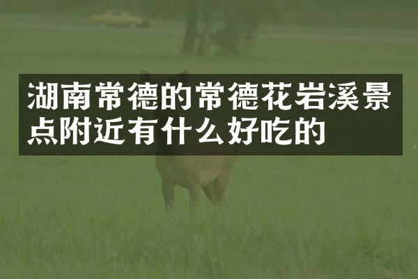 湖南常德的常德花岩溪景点附近有什么好吃的
