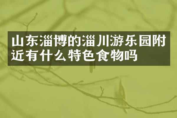 山东淄博的淄川游乐园附近有什么特色食物吗