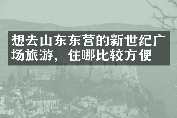 想去山东东营的新世纪广场旅游，住哪比较方便