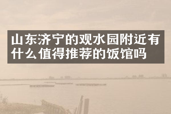 山东济宁的观水园附近有什么值得推荐的饭馆吗