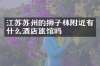 江苏苏州的狮子林附近有什么酒店旅馆吗