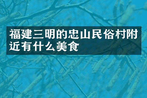 福建三明的忠山民俗村附近有什么美食