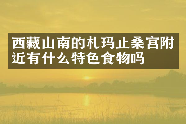 西藏山南的札玛止桑宫附近有什么特色食物吗