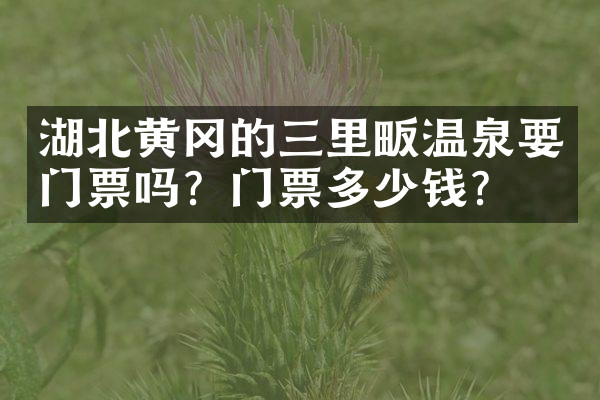 湖北黄冈的三里畈温泉要门票吗？门票多少钱？