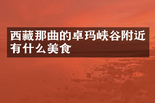 西藏那曲的卓玛峡谷附近有什么美食