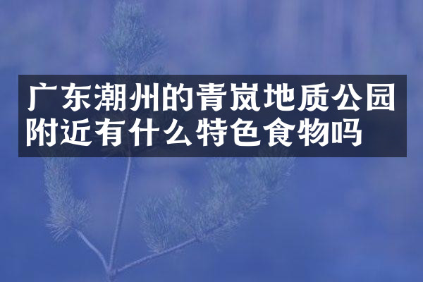广东潮州的青岚地质公园附近有什么特色食物吗