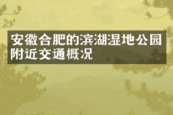 安徽合肥的滨湖湿地公园附近交通概况
