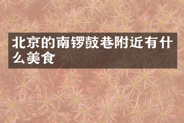北京的南锣鼓巷附近有什么美食
