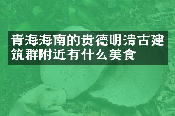 青海海南的贵德明清古建筑群附近有什么美食